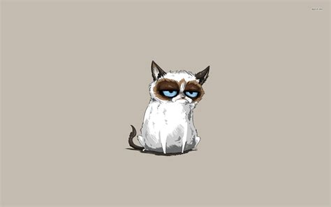 Grumpy Cat Meme Wallpaper - WallpaperSafari