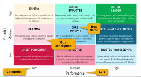 9 Box Grid Talent Management Excel Template - HR Spreadsheets