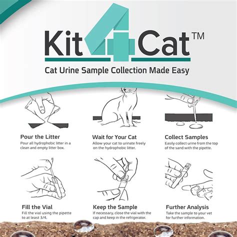 Kit4Cat Cat Urine Collection Kit, 3 Tests - Jeffers