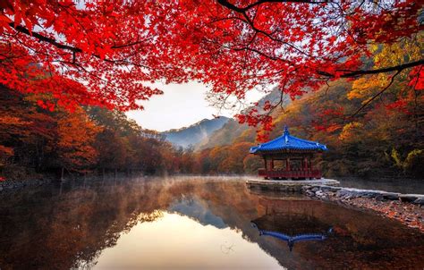 South Korea Autumn Wallpapers - Wallpaper Cave