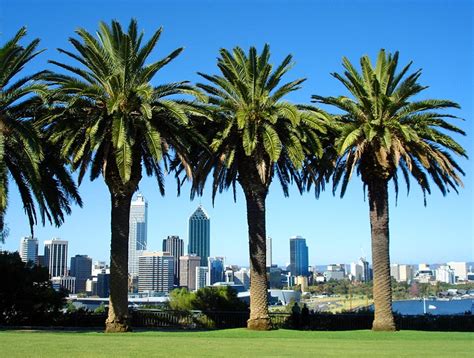 12 Top-Rated Tourist Attractions in Perth, Australia | PlanetWare