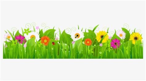 Grass Flower PNG Images, Transparent Grass Flower Image Download - PNGitem