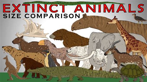 Random Extinct Animals Size Comparison vol2 (Smilodon, Imperial mammoth ...