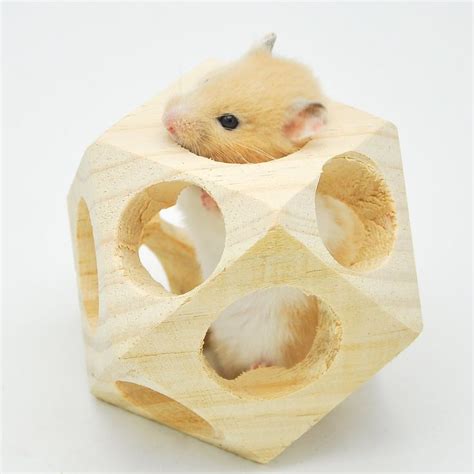 15 best images about Hamster Toys on Pinterest | Hamsters, Oasis and Turtles