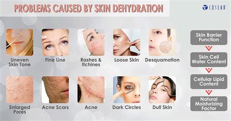 Causes of Skin Problem | Coslab Beauty Spa