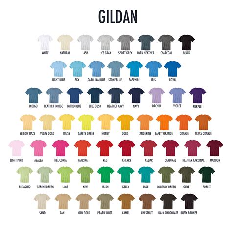 Gildan Shirt Colorsjpg | Colorful shirts, Best shirt brands, T shirt