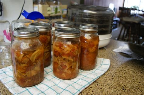 Canarella : Cabbage Soup Recipe for Pressure Canning