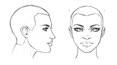 How To Draw Cartoon Heads Cartoon Head Cartoon Tutorial Drawings ...