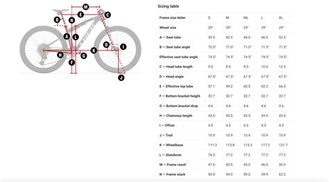 Trek Mountain Bike Frame Size Chart India - Infoupdate.org