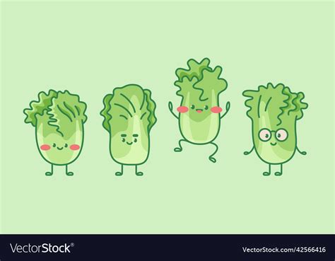 Cute cabbage characterscartoon isolated Royalty Free Vector