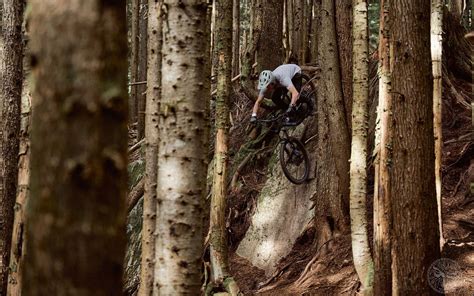 Download Steep Downhill 4k Mountain Bike Trail Wallpaper | Wallpapers.com