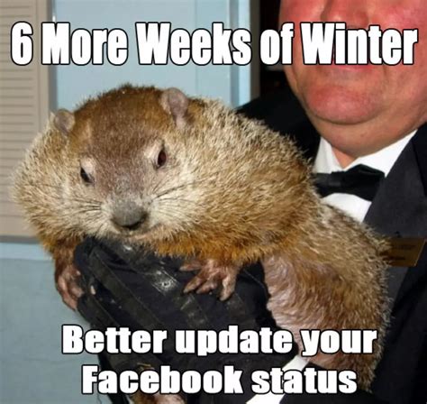 8 Groundhog Day Memes From Punxsutawney Phil