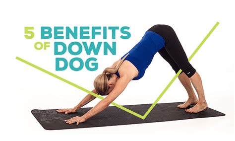 Yoga Poses Beginners Downward Facing Dog | Kayaworkout.co