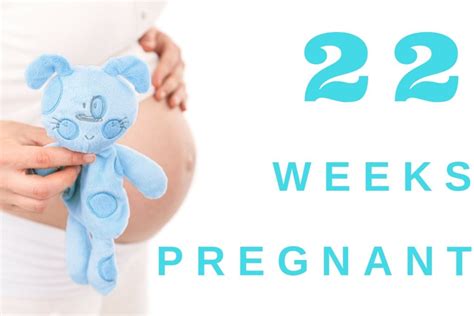 22 Weeks Pregnant: Tips For A Healthy And Happy Pregnancy – Babies Carrier