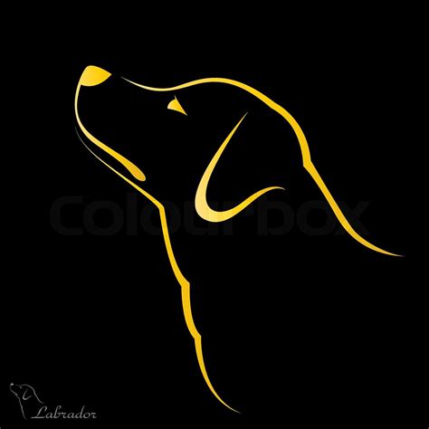 Vector image of an dog labrador | Stock vector | Colourbox