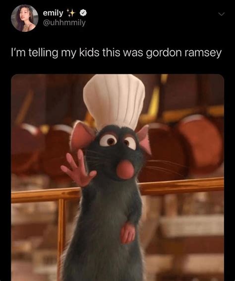 35 Funniest Ratatouille Memes To Cook Up A Smile – FandomSpot