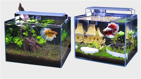 Homemade Betta Fish Tank Decorations | Shelly Lighting