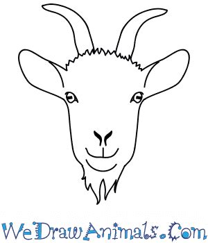 How to Draw a Goat Face