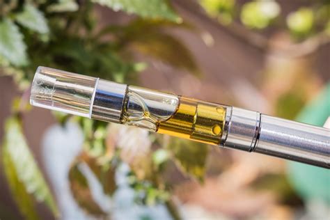 Best Delta 8 THC Carts: Top D8 Vape Cartridges Review (2021) | Observer