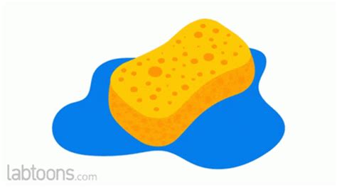 Sponge Absorbs GIF - Sponge Absorbs Water - Discover & Share GIFs