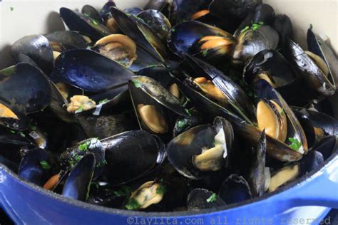 Mussels in white wine sauce {Mussells or Moules Marinière} - Laylita's ...