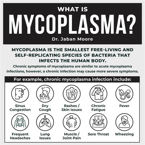 Mycoplasma: The Chronically-Overlooked Infection — Dr. Jaban