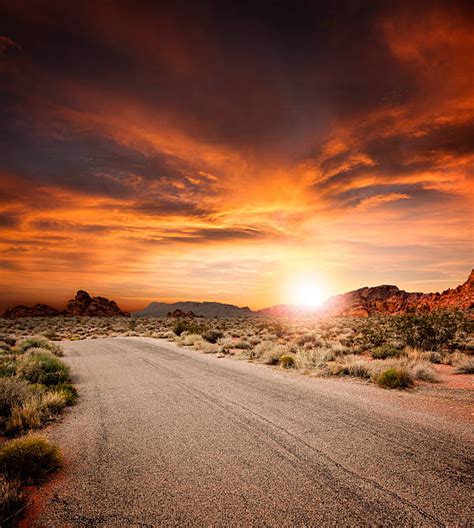 Desert Road Stock Photos, Pictures & Royalty-Free Images - iStock