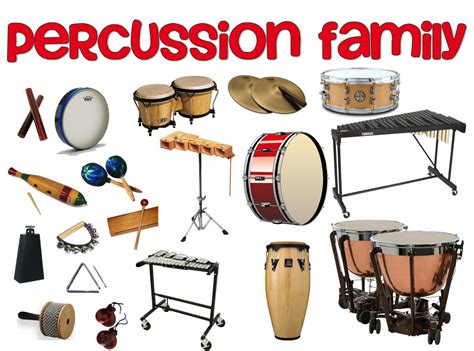 Gallery For > Orchestra Percussion Instruments