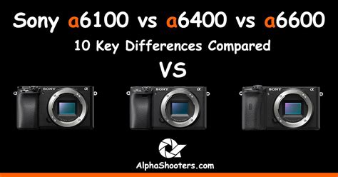 Sony A6100 vs A6400 vs A6600 - AlphaShooters.com