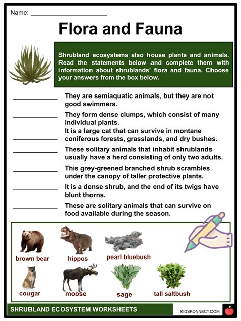 Shrubland Ecosystem Worksheets | Features, Examples, Plants