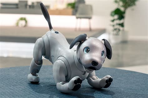 Old dog, new tricks: Sony unleashes 'intelligent' robot pet | ABS-CBN News