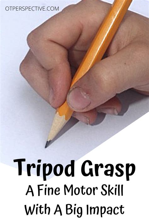 Tripod grasp a fine motor skill with a big impact – Artofit