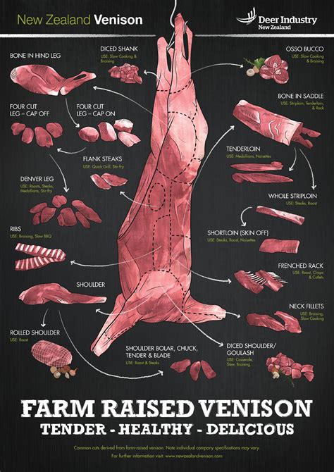 Deer Industry New Zealand // Cuts Chart Poster :: Behance