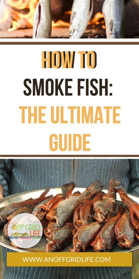 Learn how to smoke fish using a variety of smoking techniques like hot and cold smoke, campfire ...