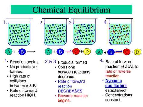 Chemical Equilibrium: Dynamic Equilibrium in Chemistry