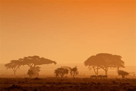 African Sunset Guide - Safari, Savannah, Sea and Sundowners