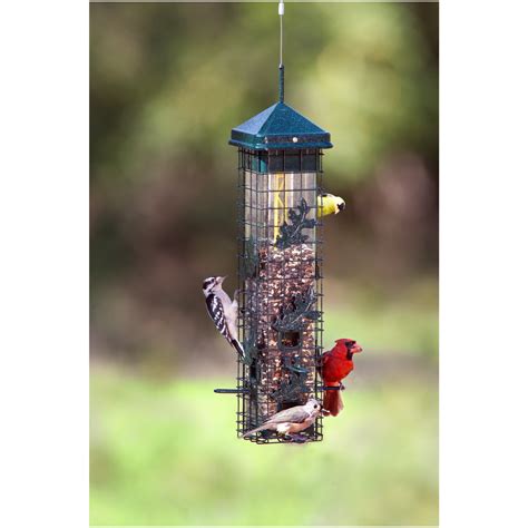 Top squirrel proof bird feeders - wellvery