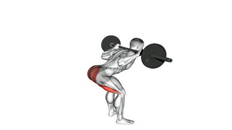 Good Morning (Barbell) - How to Instructions, Proper Exercise Form and Tips | Hevy Exercise Library