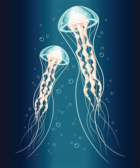 Glowing Jellyfish Pictures Illustrations, Royalty-Free Vector Graphics & Clip Art - iStock ...