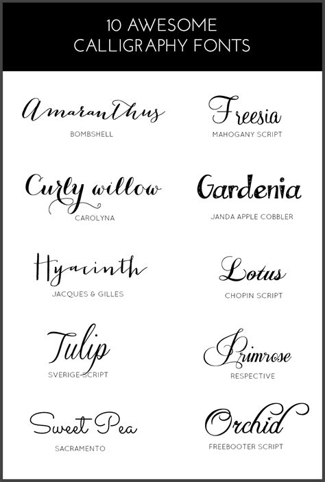 10 AWESOME CALLIGRAPHY FONTS | PINKPOT | Bloglovin’