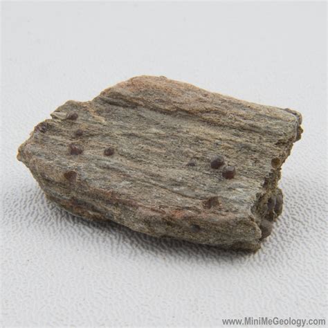 Garnet Schist Metamorphic Rock - Mini Me Geology