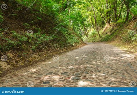 Old Abandoned Paved Road in the Forest Stock Image - Image of path, competition: 169272079