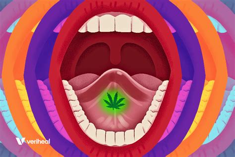 Sublingual CBD for Beginners: A Comprehensive Usage Guide