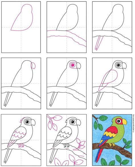 How To Draw A Parrot Really Easy Drawing Tutorial Drawing Tutorial | Images and Photos finder