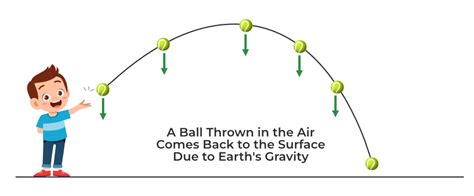 Gravity Force Diagram