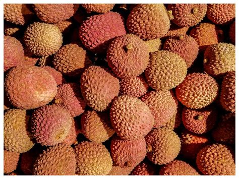 Fruit Benefits Of Lychee - Herbs and Food Recipes