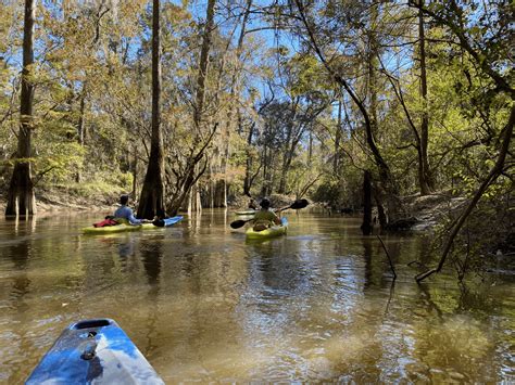 Kayaking the Honey Island Swamp - Episode #125 - Beyond Bourbon Street