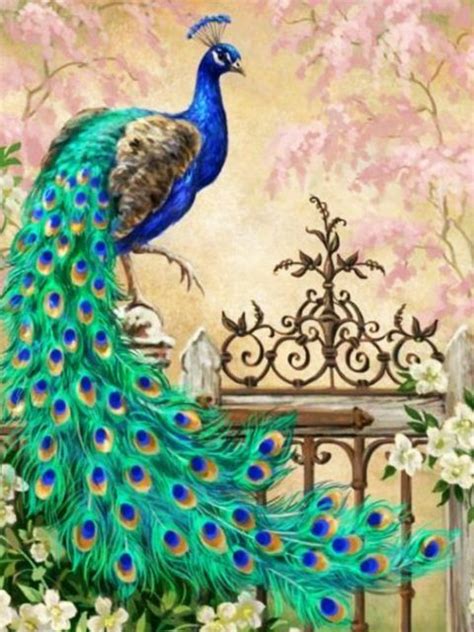 Beautiful Peacock Wallpapers Free Download - WoodsLima