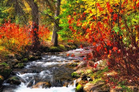 Fotos Natur Herbst Bäche Wald