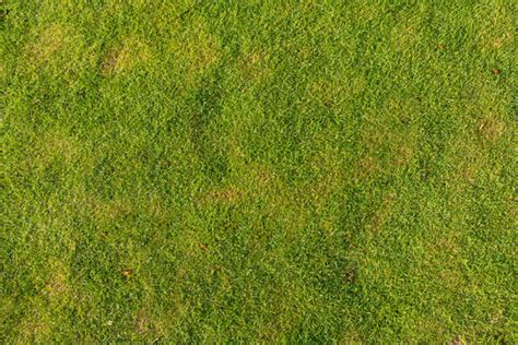 "Grass Texture" Images – Browse 4,152 Stock Photos, Vectors, and Video | Adobe Stock